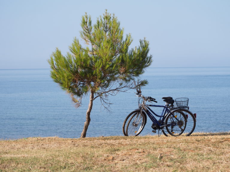 Vélos sur fond de mer