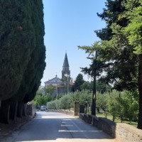 Allée vers la cité fortifiée de Grožnjan