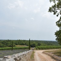 Allée vers Histra Aromatica